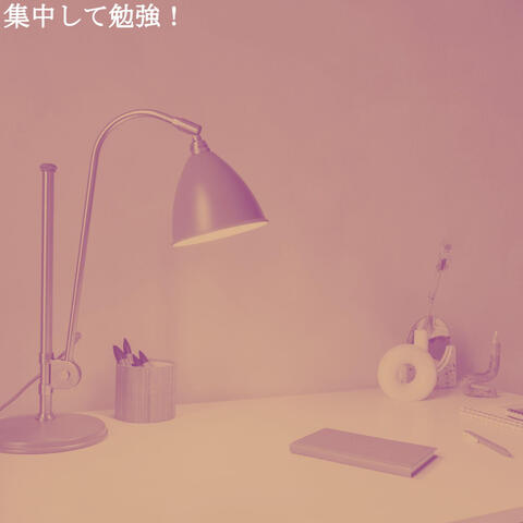 集中して勉強！