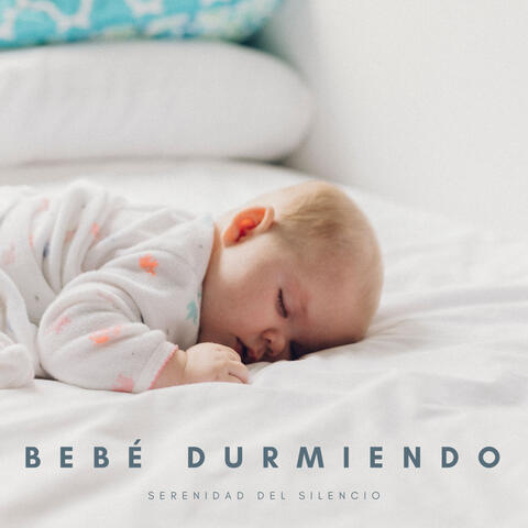 Bebé Durmiendo: Serenidad Del Silencio