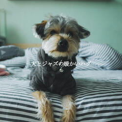 Background for Chubby Puppy