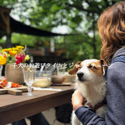 Outstanding Ambiance for A Caring Doggy