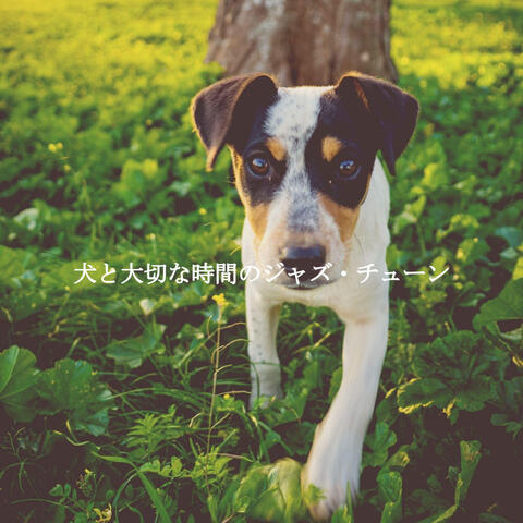 犬と大切な時間のジャズ・チューン