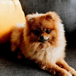 Contemporary Winter Surprises