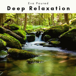 Rest Journey Song for Deep NAP