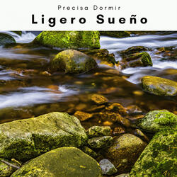 Through Sleep Multifold Song and Brain Wandering