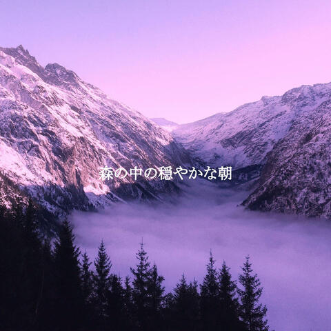 森の中の穏やかな朝