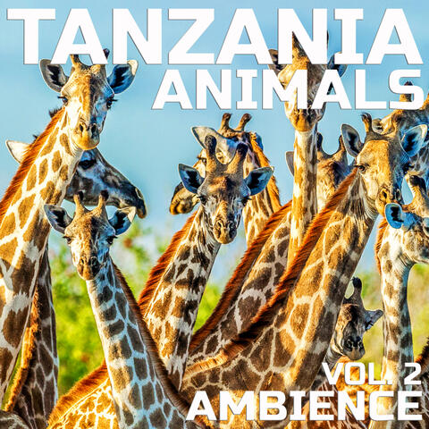 Tanzania Animals Ambience, Vol. 2