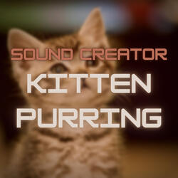 Kitten Purring 4