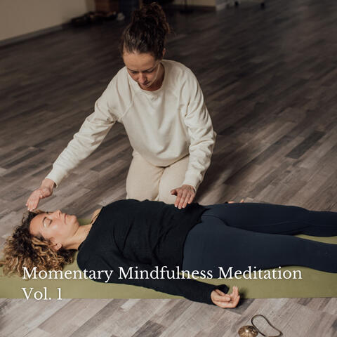 Momentary Mindfulness Meditation Vol. 1