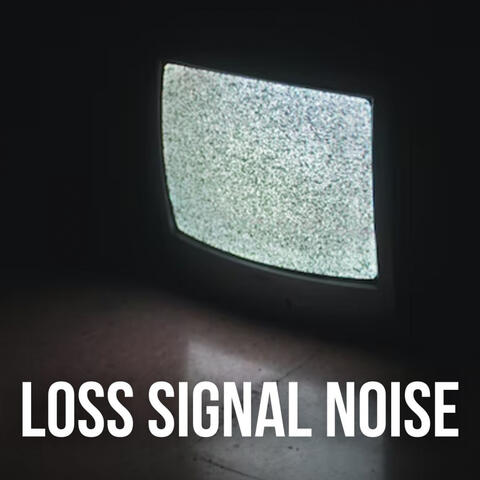 Loss Signal Noise