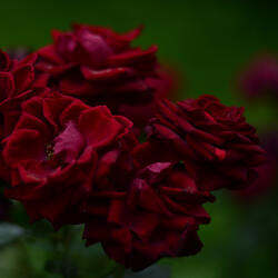 Theta Waves Music for Concentration anc