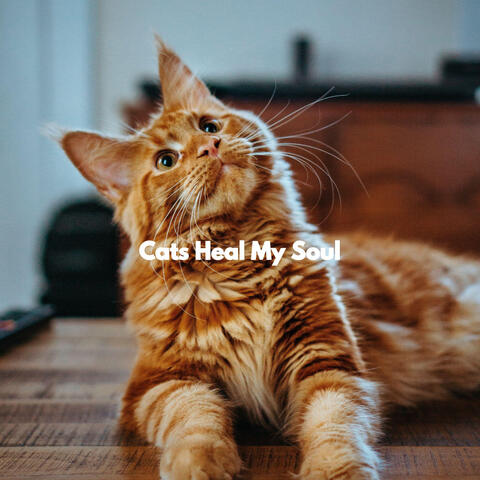 Cats Heal My Soul