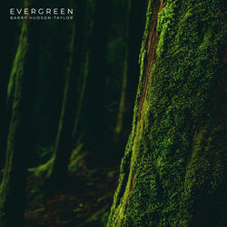 Evergreen