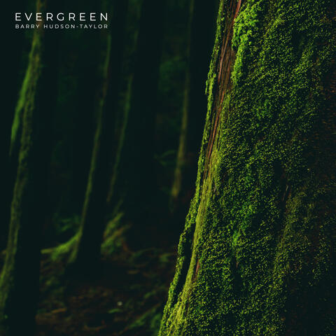 Evergreen