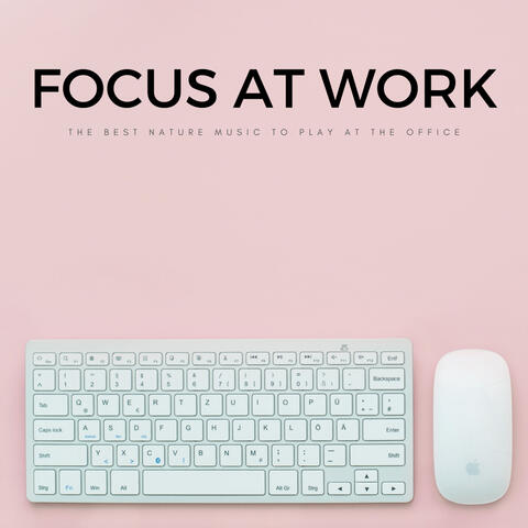 Focus At Work: The Best Nature Music To Play At The Office