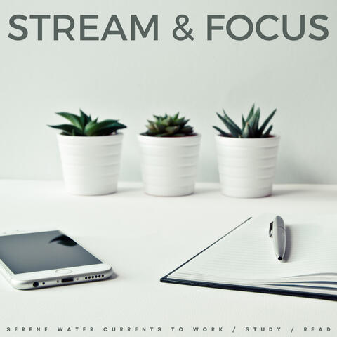 Stream & Focus: Serene Water Currents To Work / Study / Read