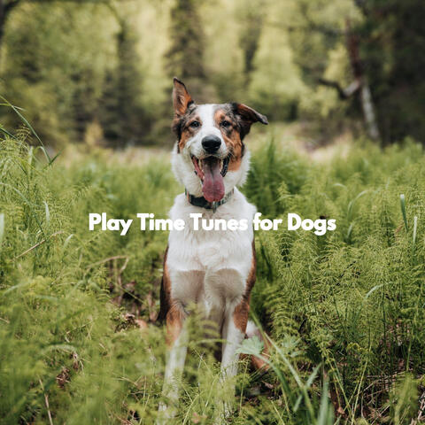 Play Time Tunes for Dogs