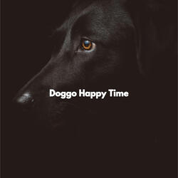 Casual Best Doggy Memories