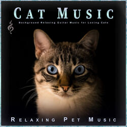Music for Cat Purring