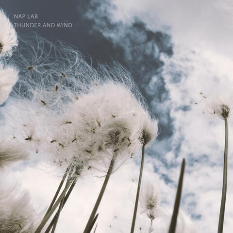 Thunder and Wind