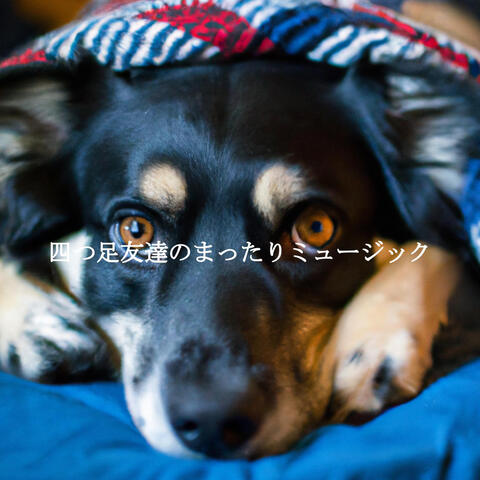 四つ足友達のまったりミュージック