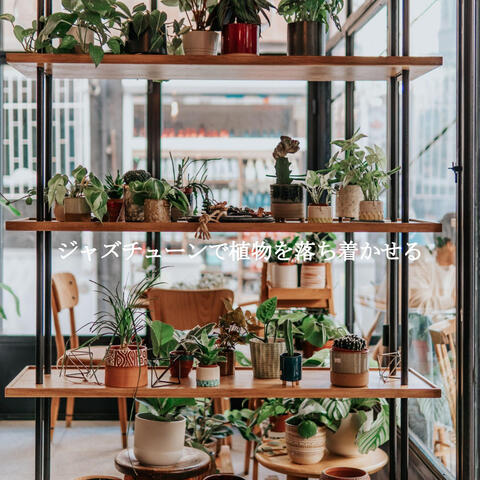 ジャズチューンで植物を落ち着かせる