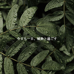 Sophisticated Ambience for In October