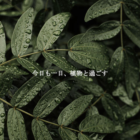 今日も一日、植物と過ごす