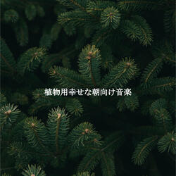 High-class No Drums Jazz - Vibe for No Stress Fall