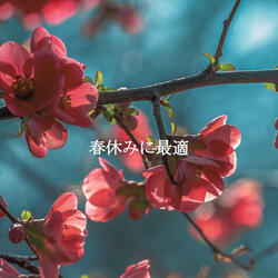 Fashionable Laidback Coffee