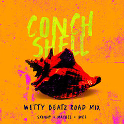 Conch Shell