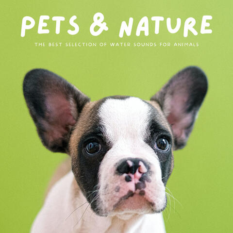 Pets & Nature: The Best Selection Of Water Sounds For Animals