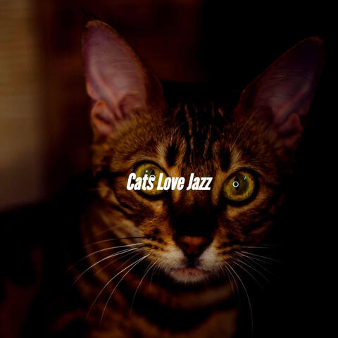 Cats Love Jazz