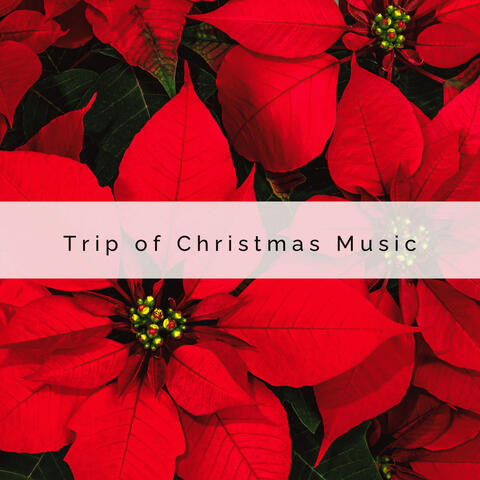 2022 Trip of Christmas Music