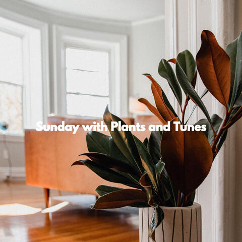 Sunday with Plants and Tunes