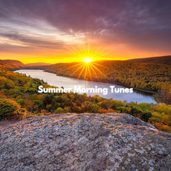 Background for Every Selection