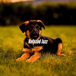 Carefree Music for Calming Doggy Time