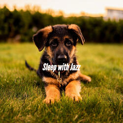 Piano Duo and Alto Saxophone Soundtrack for Calming Doggy Time
