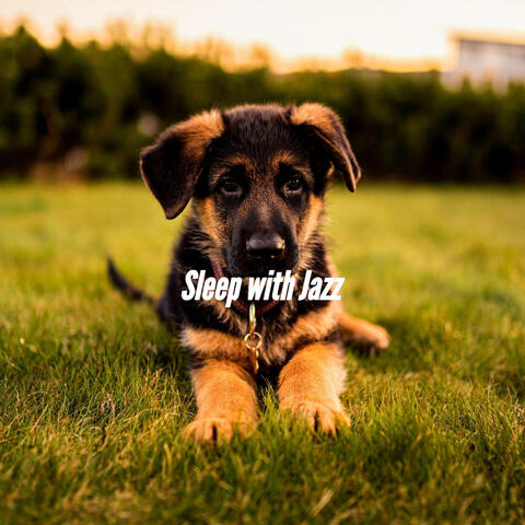 Sleep with Jazz