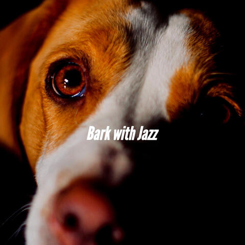 Bark with Jazz