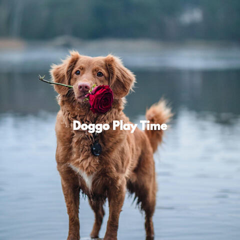 Doggo Play Time
