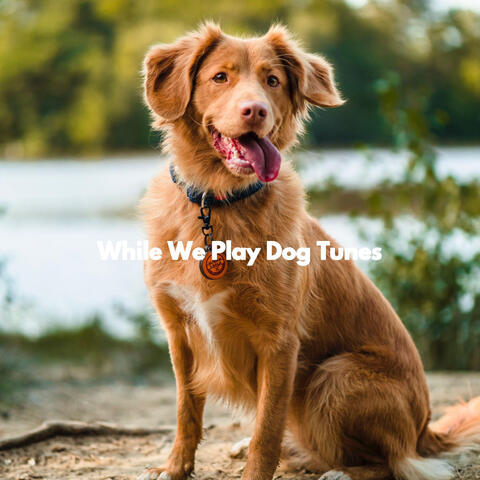 While We Play Dog Tunes
