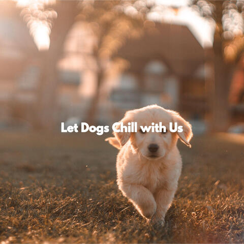 Let Dogs Chill with Us