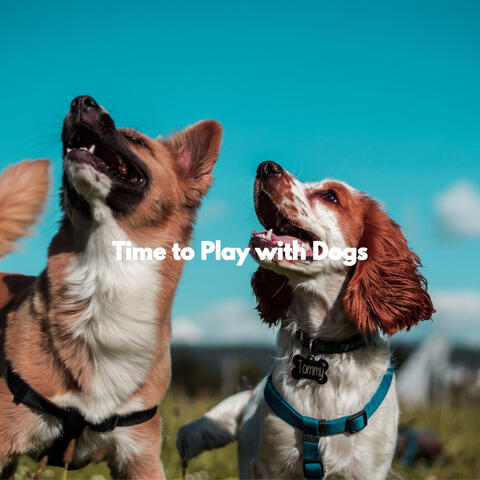 Time to Play with Dogs