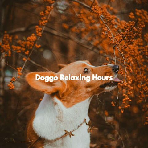 Doggo Relaxing Hours