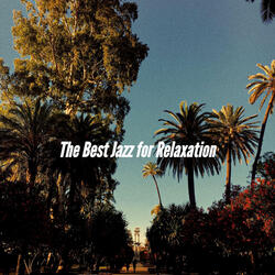 Paradise Like Friday Funday