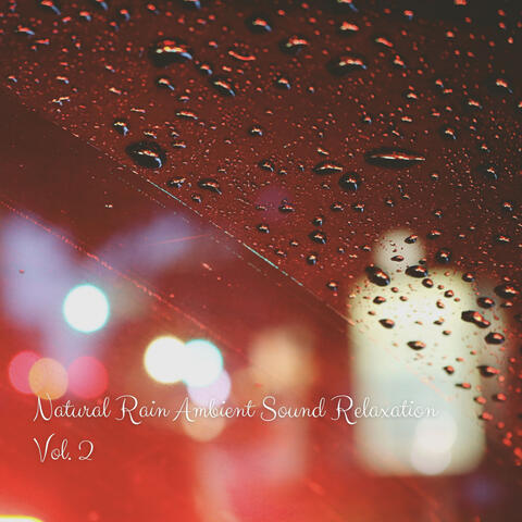 Natural Rain Ambient Sound Relaxation Vol. 2