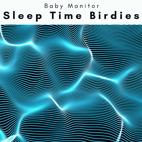 4 Sleep Time Birdies