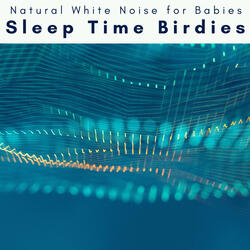 Noise Turbo Dream Time with Birds
