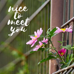 Nice To Meet You Too