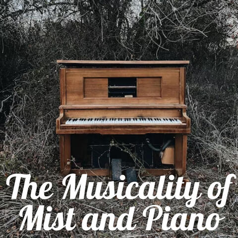 The Musicality of Mist and Piano